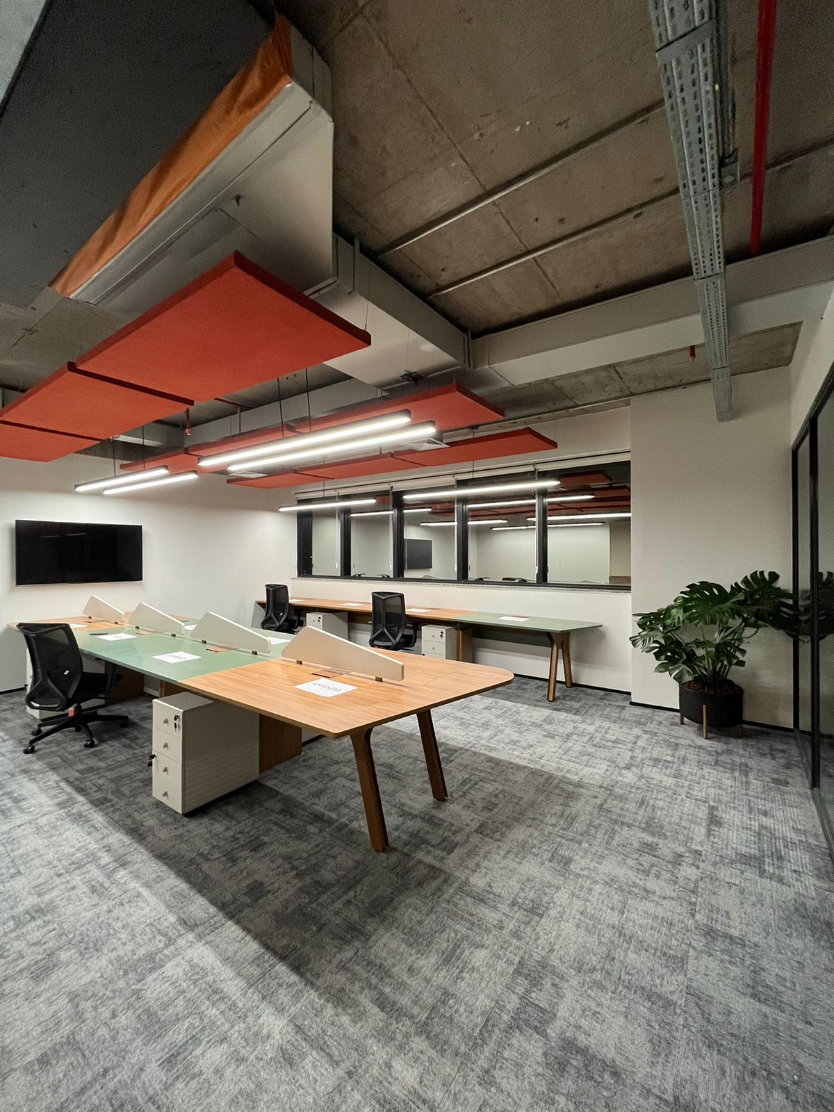 WhatsApp Image 2024-08-05 at 17.04.26.jpeg